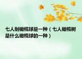 七人制橄榄球是一种（七人橄榄树是什么橄榄球的一种）