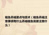 桂鱼养殖要点与技术（桂鱼养殖注意事项有什么养殖桂鱼需要注意什么）