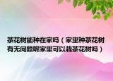 茶花树能种在家吗（家里种茶花树有无问题呢家里可以栽茶花树吗）