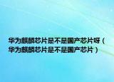华为麒麟芯片是不是国产芯片呀（华为麒麟芯片是不是国产芯片）
