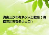海南三沙市有多少人口数量（海南三沙市有多少人口）