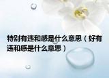 特别有违和感是什么意思（好有违和感是什么意思）