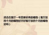 适合在客厅一年四季好养的植物（客厅放四个月的植物好不好客厅放四个月的植物好吗）