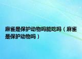 麻雀是保护动物吗能吃吗（麻雀是保护动物吗）