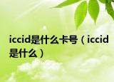iccid是什么卡号（iccid是什么）