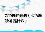 九色鹿的歌词（七色鹿歌词 是什么）