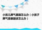 小孩儿脾气暴躁怎么办（小孩子脾气很暴躁该怎么办）