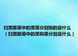 扫黑除恶中的黑恶分别指的是什么（扫黑除恶中的黑和恶分别是什么）