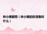 林小娘剧照（林小娘的扮演者叫什么）