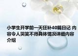 小学生开学前一天狂补40篇日记 内容令人哭笑不得具体情况详细内容介绍