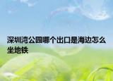 深圳湾公园哪个出口是海边怎么坐地铁