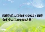 印度的总人口有多少2019（印度有多少人口2019总人数）