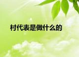 村代表是做什么的