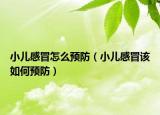 小儿感冒怎么预防（小儿感冒该如何预防）