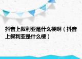 抖音上叙利亚是什么梗啊（抖音上叙利亚是什么梗）