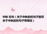 中秋 短句（关于中秋的短句子推荐关于中秋的短句子有哪些）