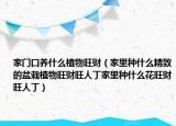 家门口养什么植物旺财（家里种什么精致的盆栽植物旺财旺人丁家里种什么花旺财旺人丁）