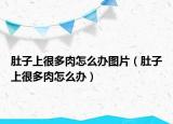 肚子上很多肉怎么办图片（肚子上很多肉怎么办）