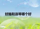 好施和浪琴哪个好