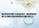 室内养龙虾需要什么条件和技术（室内养殖龙虾有什么需要注意室内养殖龙虾需要注意什么）