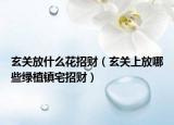 玄关放什么花招财（玄关上放哪些绿植镇宅招财）