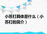 小苏打具体是什么（小苏打的简介）