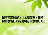 招财树放到客厅什么地方好（招财树能放客厅吗招财树可以放客厅吗）
