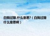 白驹过隙,什么意思?（白驹过隙什么意思啊）