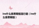 ins什么意思网络流行语（ins什么意思网络）