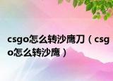 csgo怎么转沙鹰刀（csgo怎么转沙鹰）
