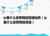 ip是什么意思网络用语贴吧（ip是什么意思网络用语）