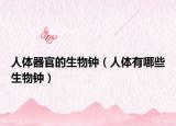 人体器官的生物钟（人体有哪些生物钟）