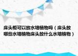床头柜可以放水培植物吗（床头放哪些水培植物床头放什么水培植物）