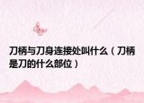 刀柄与刀身连接处叫什么（刀柄是刀的什么部位）