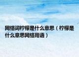 网络词柠檬是什么意思（柠檬是什么意思网络用语）