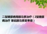 二型糖尿病用胰岛素治疗（2型糖尿病治疗 基础胰岛素要早用）