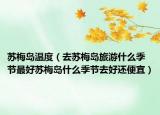 苏梅岛温度（去苏梅岛旅游什么季节最好苏梅岛什么季节去好还便宜）