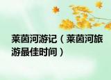 莱茵河游记（莱茵河旅游最佳时间）