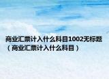 商业汇票计入什么科目1002无标题（商业汇票计入什么科目）