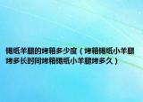 锡纸羊腿的烤箱多少度（烤箱锡纸小羊腿烤多长时间烤箱锡纸小羊腿烤多久）