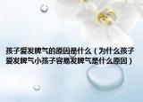 孩子爱发脾气的原因是什么（为什么孩子爱发脾气小孩子容易发脾气是什么原因）
