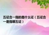 五证合一指的是什么证（五证合一是指哪五证）