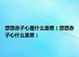 悠悠赤子心是什么意思（悠悠赤子心什么意思）