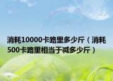 消耗10000卡路里多少斤（消耗500卡路里相当于减多少斤）