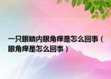 一只眼睛内眼角痒是怎么回事（眼角痒是怎么回事）
