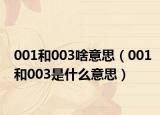 001和003啥意思（001和003是什么意思）