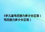 5岁儿童韦氏智力多少分正常（韦氏智力多少分正常）