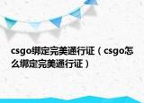 csgo绑定完美通行证（csgo怎么绑定完美通行证）