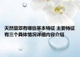 天然翡翠有哪些基本特征 主要特征有三个具体情况详细内容介绍