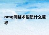 omg网络术语是什么意思